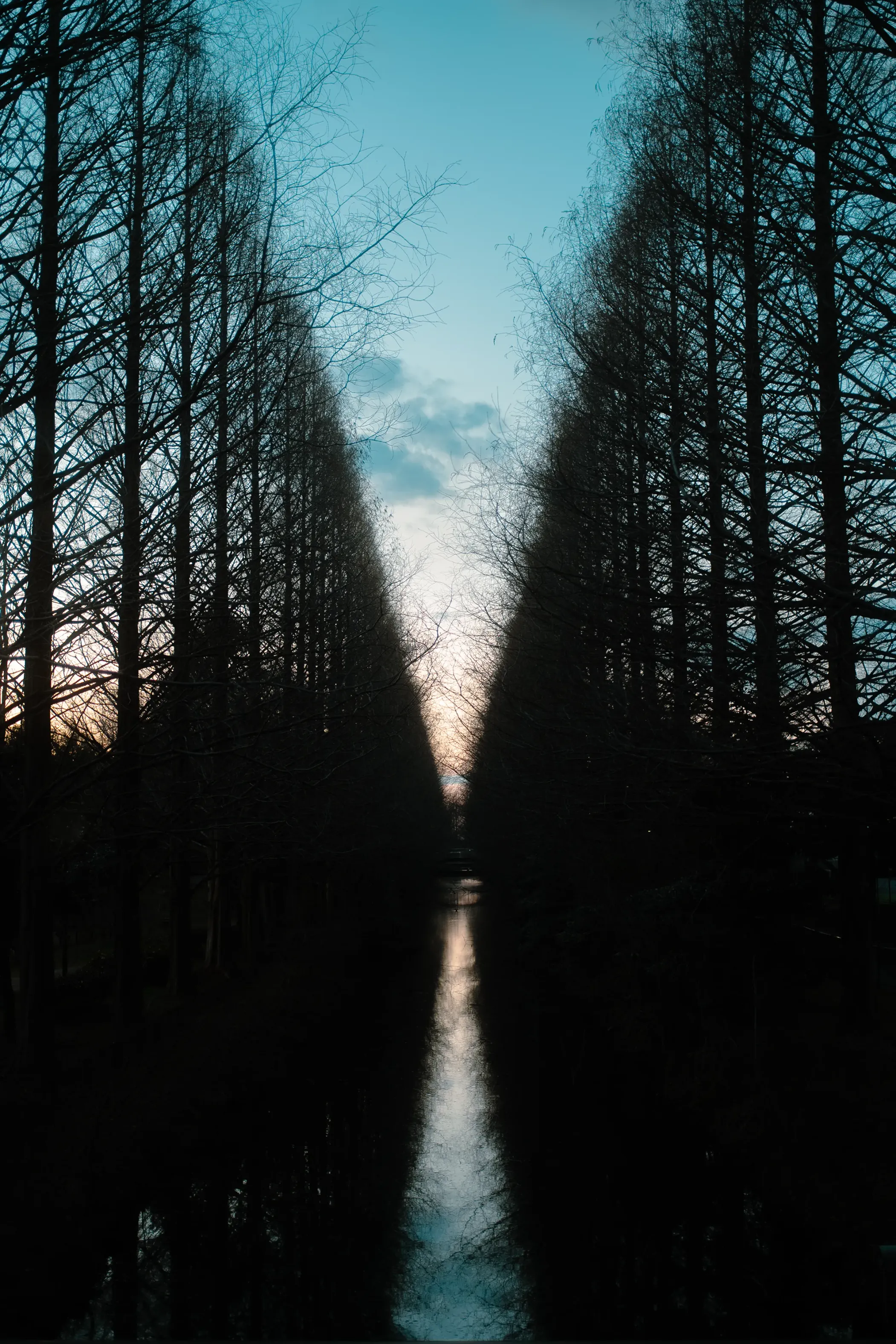 Snap Photo