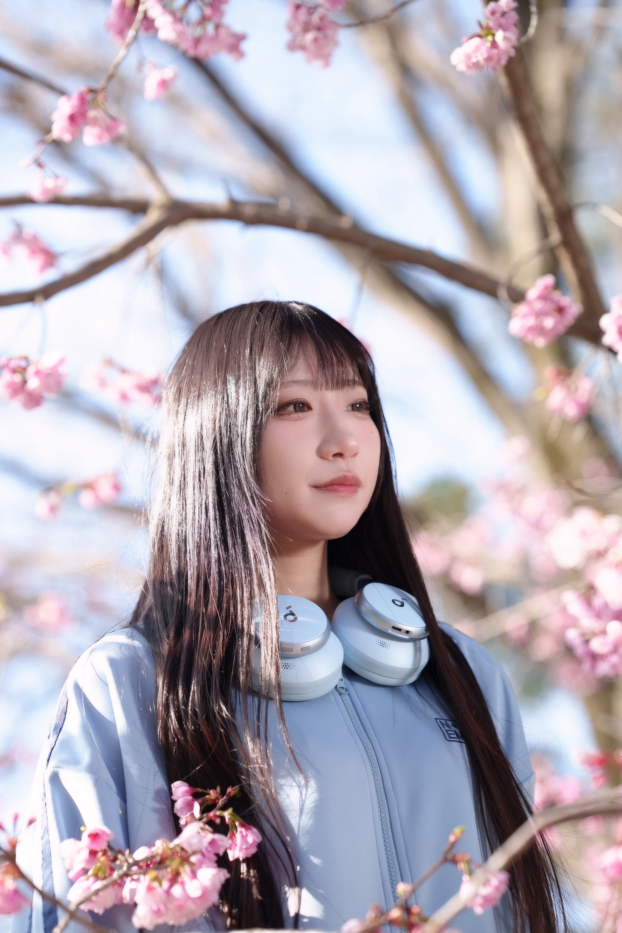 Portrait Photo